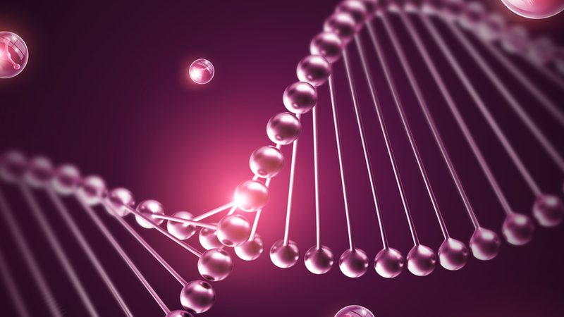 鼠抗人单克隆抗体储存条件：揭秘关键因素与标准**