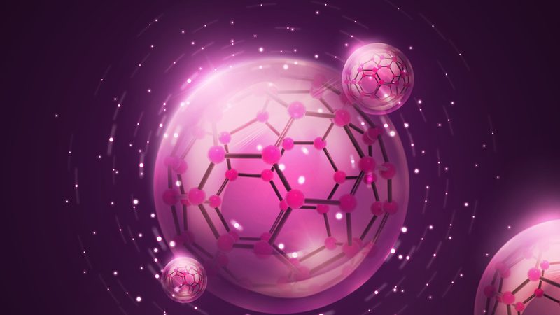 肿瘤组织原代细胞培养：揭秘精准医疗的关键步骤**
