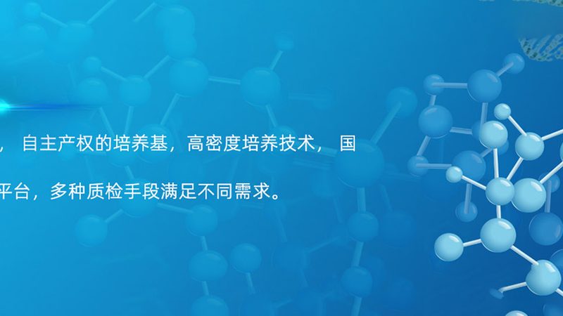 引物甲基化修饰：揭示精准医疗的“金钥匙”**