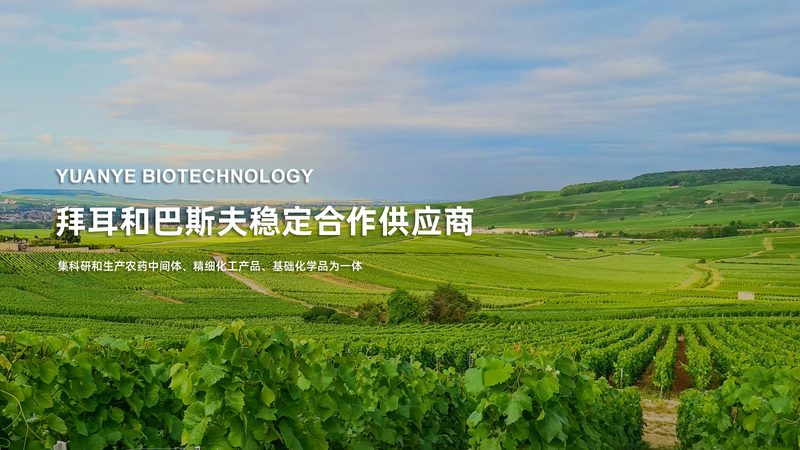 酶制剂储存：揭秘温度要求的科学奥秘**