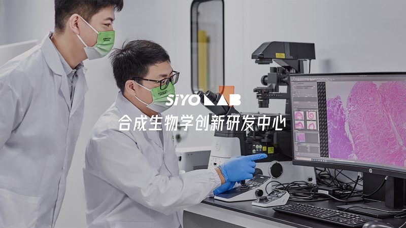 引物合成：揭秘高效基因检测的关键步骤**