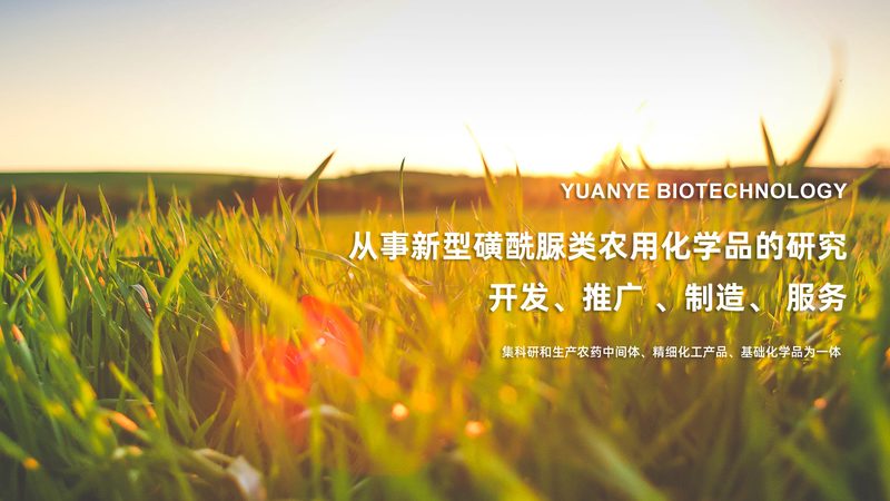肝癌靶向用药基因检测：标准与挑战**