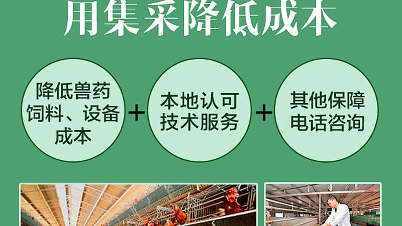 地域优势：政策与人才汇聚