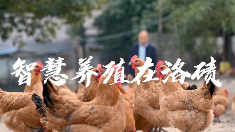 DNA试剂储存缓冲液配方：揭秘其背后的科学奥秘