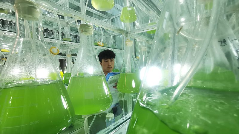 生物医药冷链物流外包：守护生命科学的“冷链”守护者